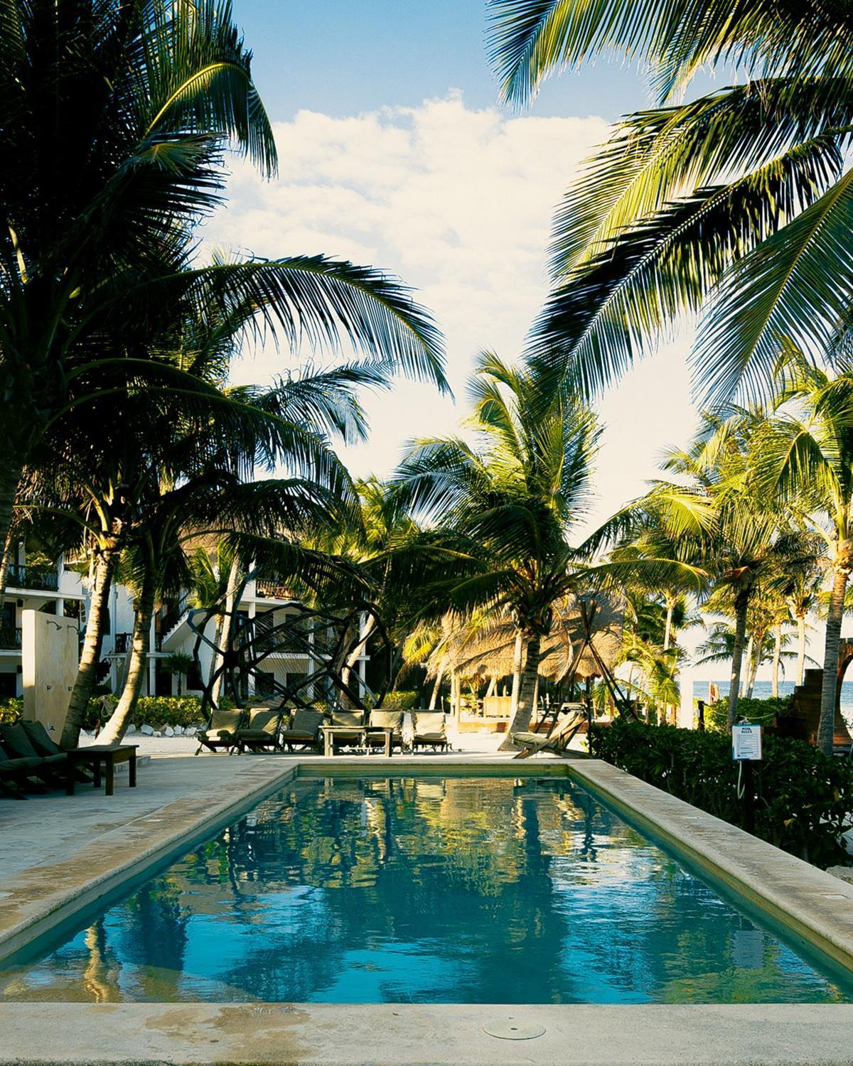 Hotel Mia Tulum Beachfront Resort - Ocean View Suites And Beach Club
