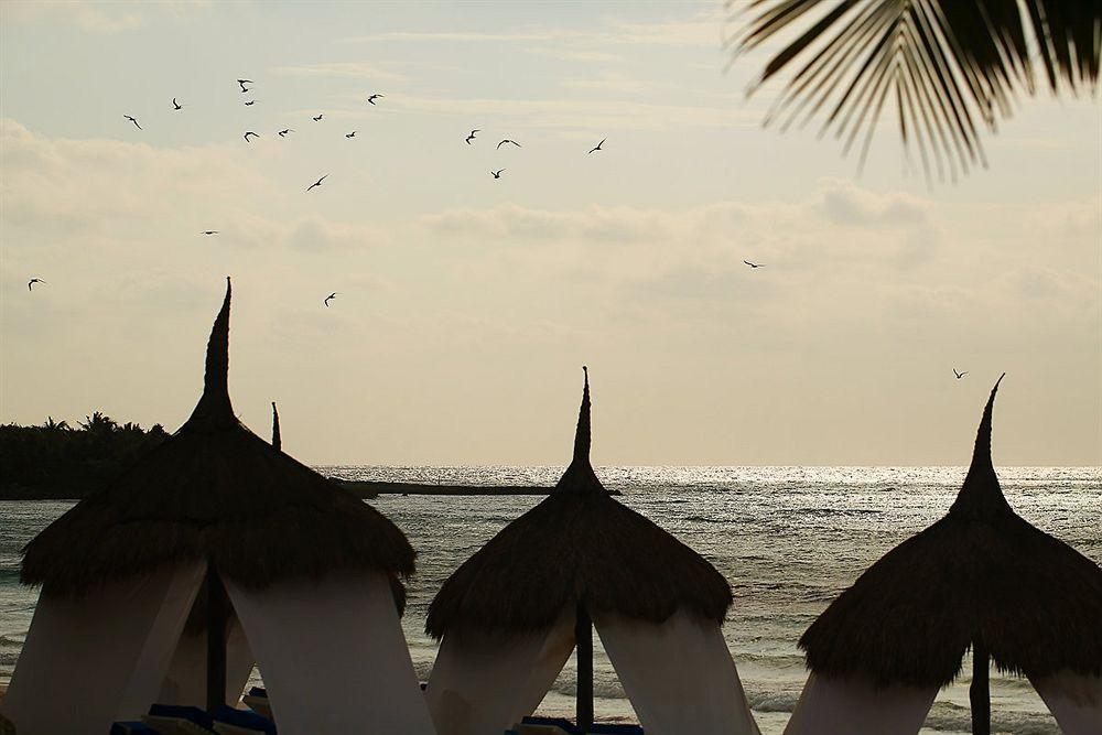 Al Cielo 3*