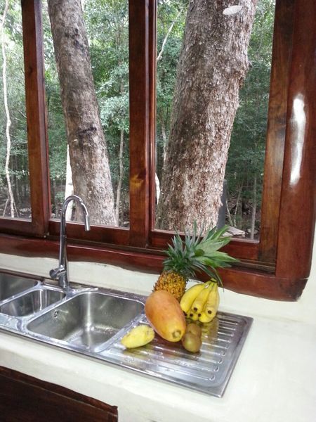 Hotel Wonderful Jungle House M. Gomez By Kvr 4*