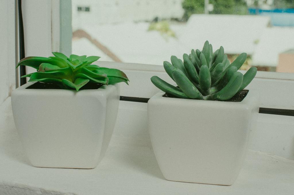 Apartamento Casa Felicidad *