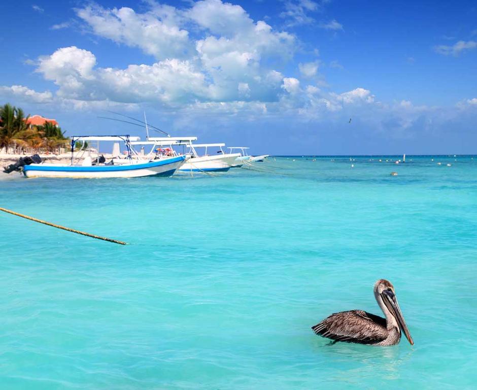 Apartamento Modern Riviera Maya