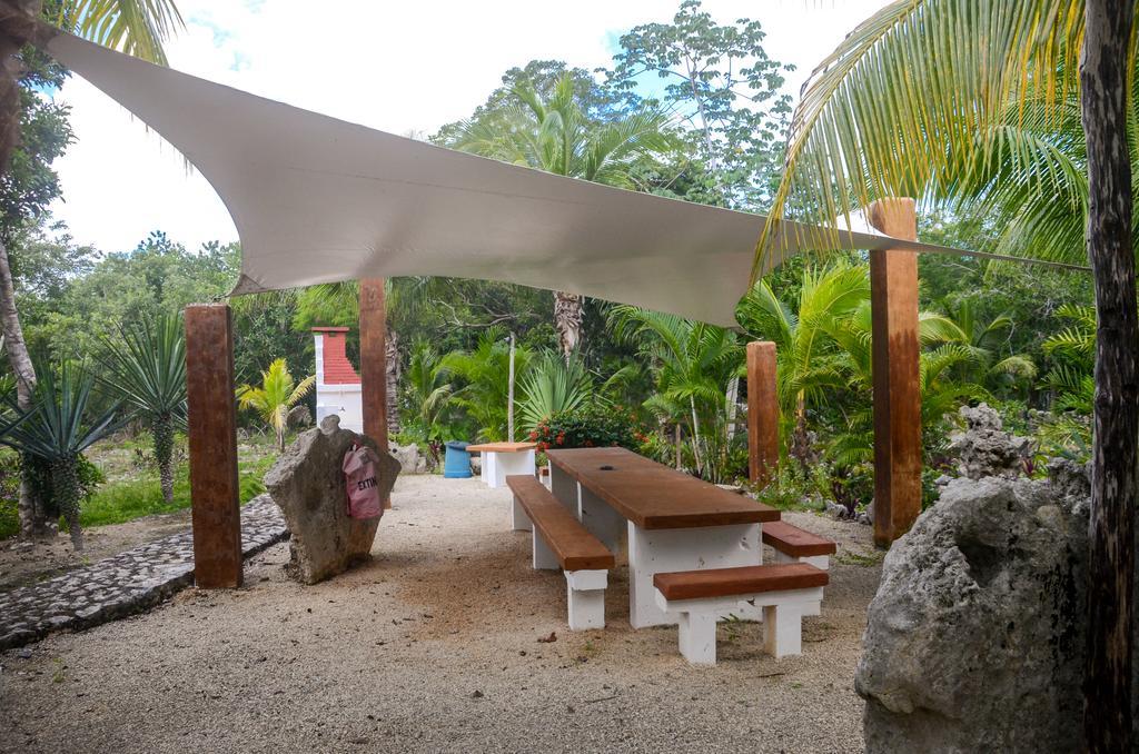 Casa De Tortugas I Tour Akumal