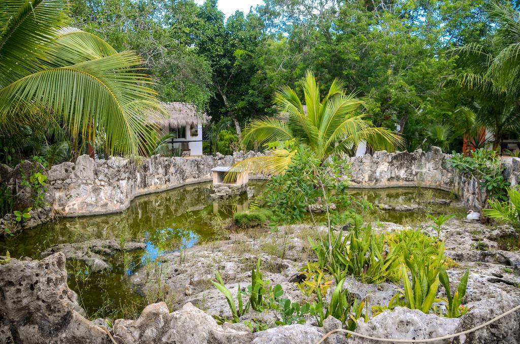 Casa De Tortugas I Tour 2*
