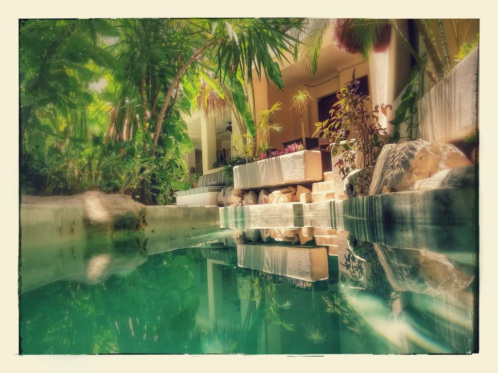 Hotel La Tortuga Y - Solo Adultos Playa del Carmen