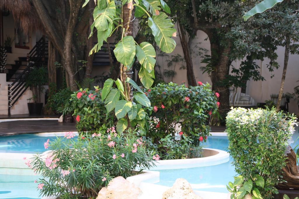 La Tortuga Y - Solo Adultos 4* Playa del Carmen