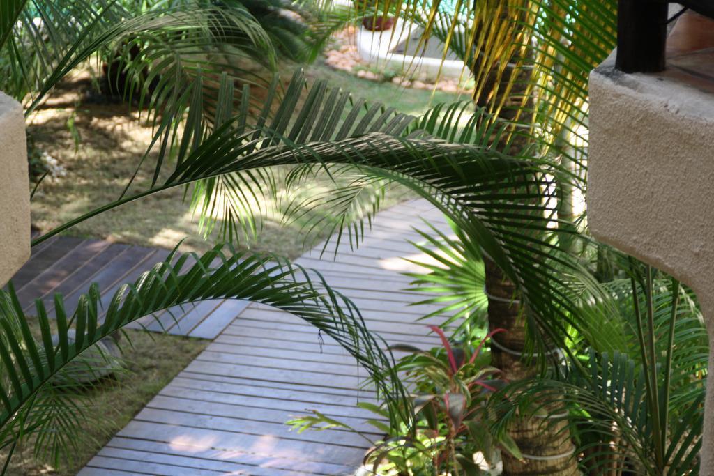 La Tortuga Y - Solo Adultos Hotel