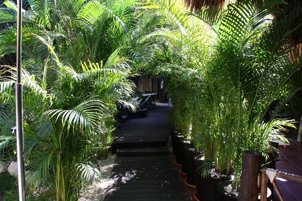 Hotel La Tortuga Y - Solo Adultos 4*