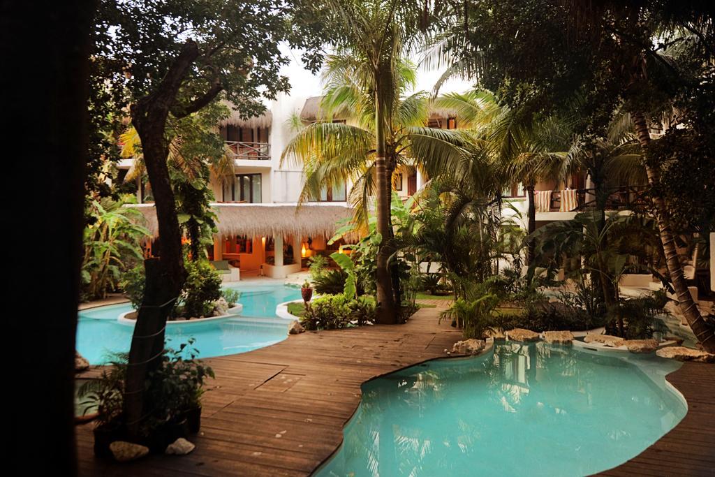 La Tortuga Y - Solo Adultos Hotel Playa del Carmen