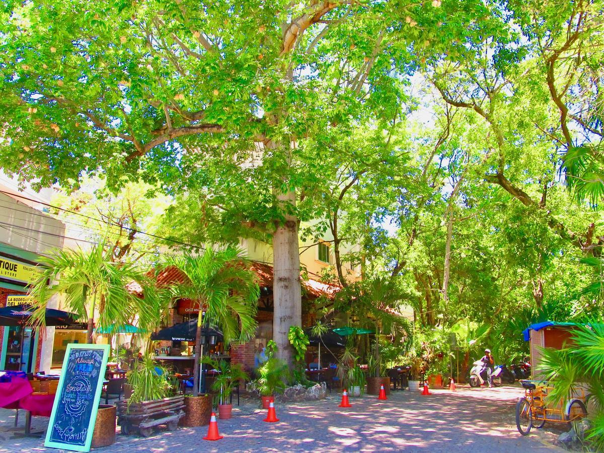 Aparthotel Bosque De Los Aluxes 3 Bed. Private Pool 2*