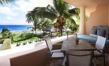Homing Bird * Puerto Aventuras