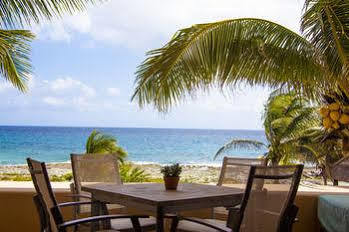 Homing Bird * Puerto Aventuras