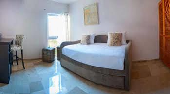 Homing Bird * Puerto Aventuras