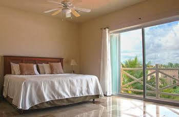 Homing Bird * Puerto Aventuras