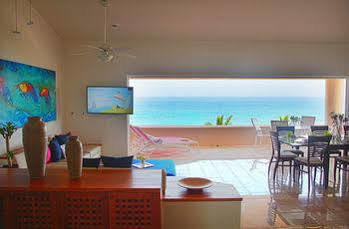 Homing Bird * Puerto Aventuras