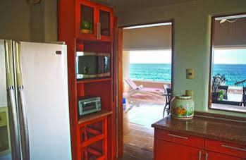 Homing Bird * Puerto Aventuras