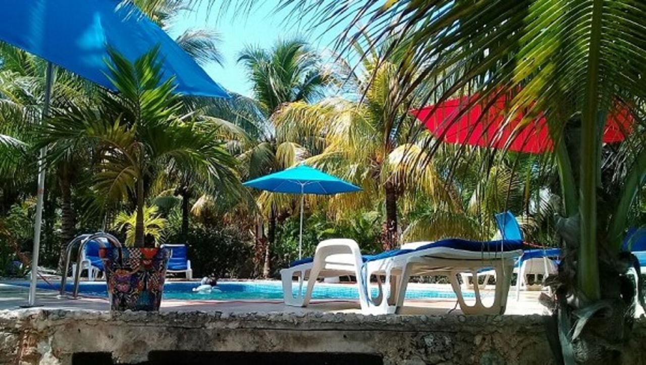 Casa De Tortugas I Tour Hotel 2*