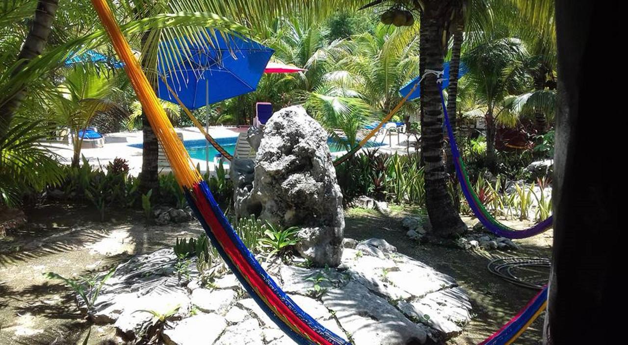 Casa De Tortugas I Tour 2*