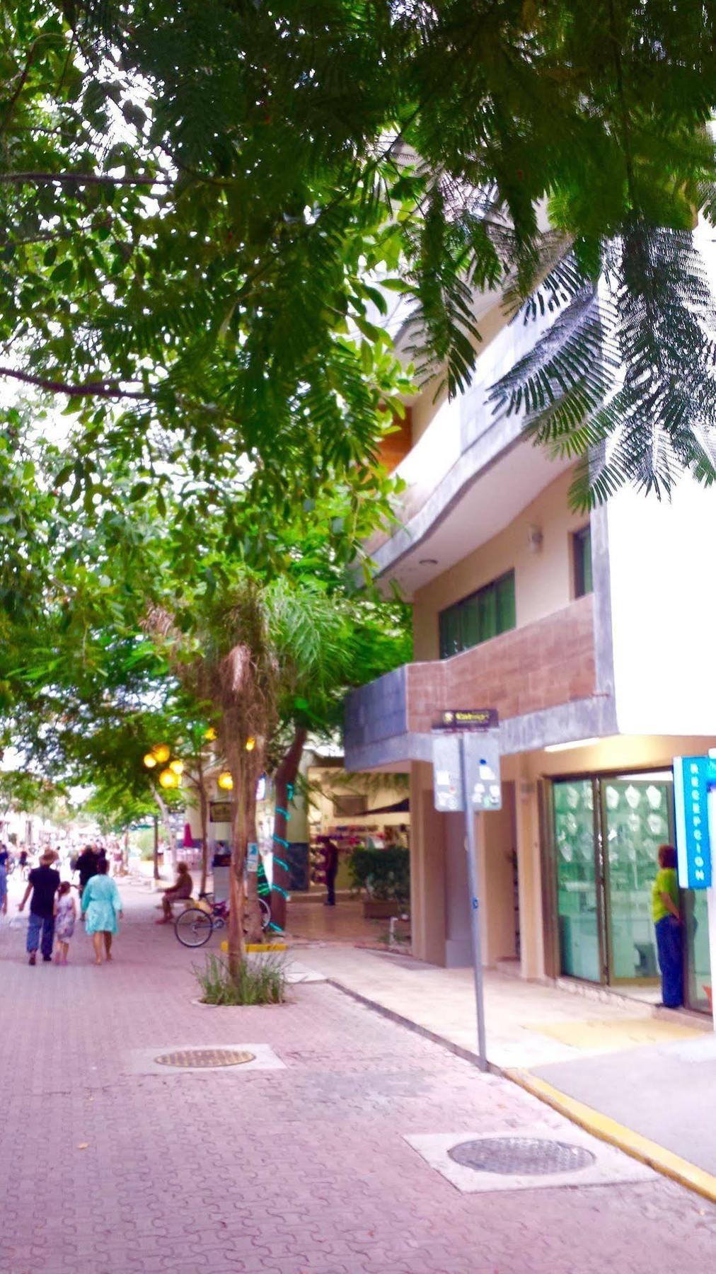 Acomodação com café da manhã  Maya Vacanze Playa Quinta 2*