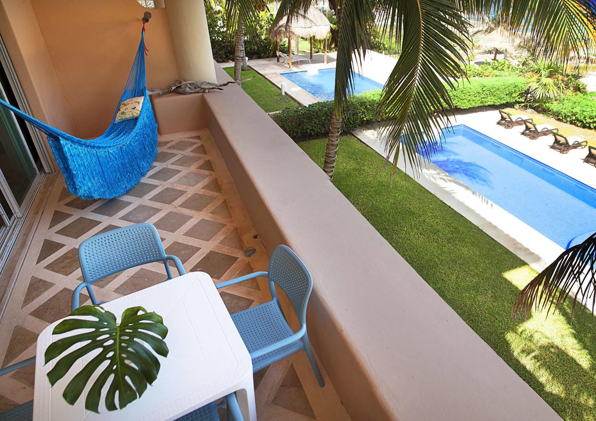 Homing Bird Puerto Aventuras