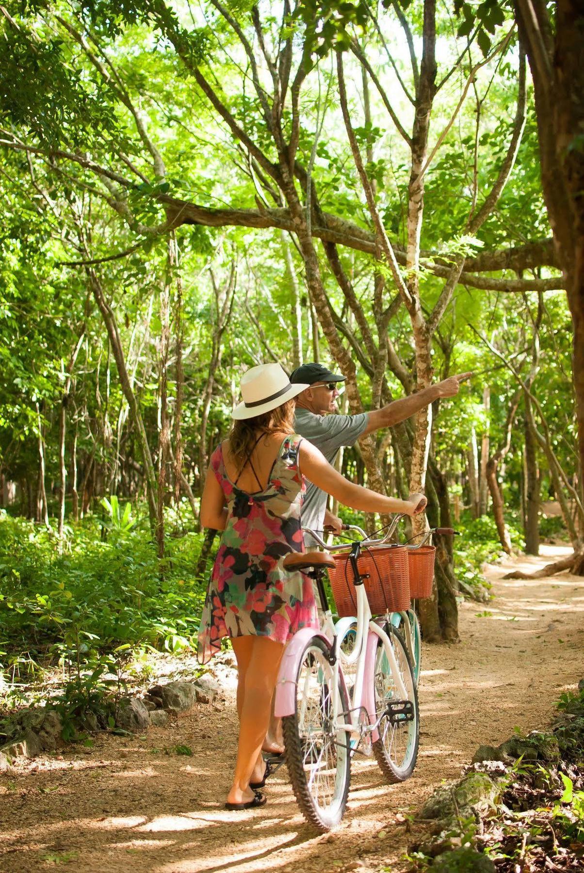 Natura Glamping Hotel Akumal