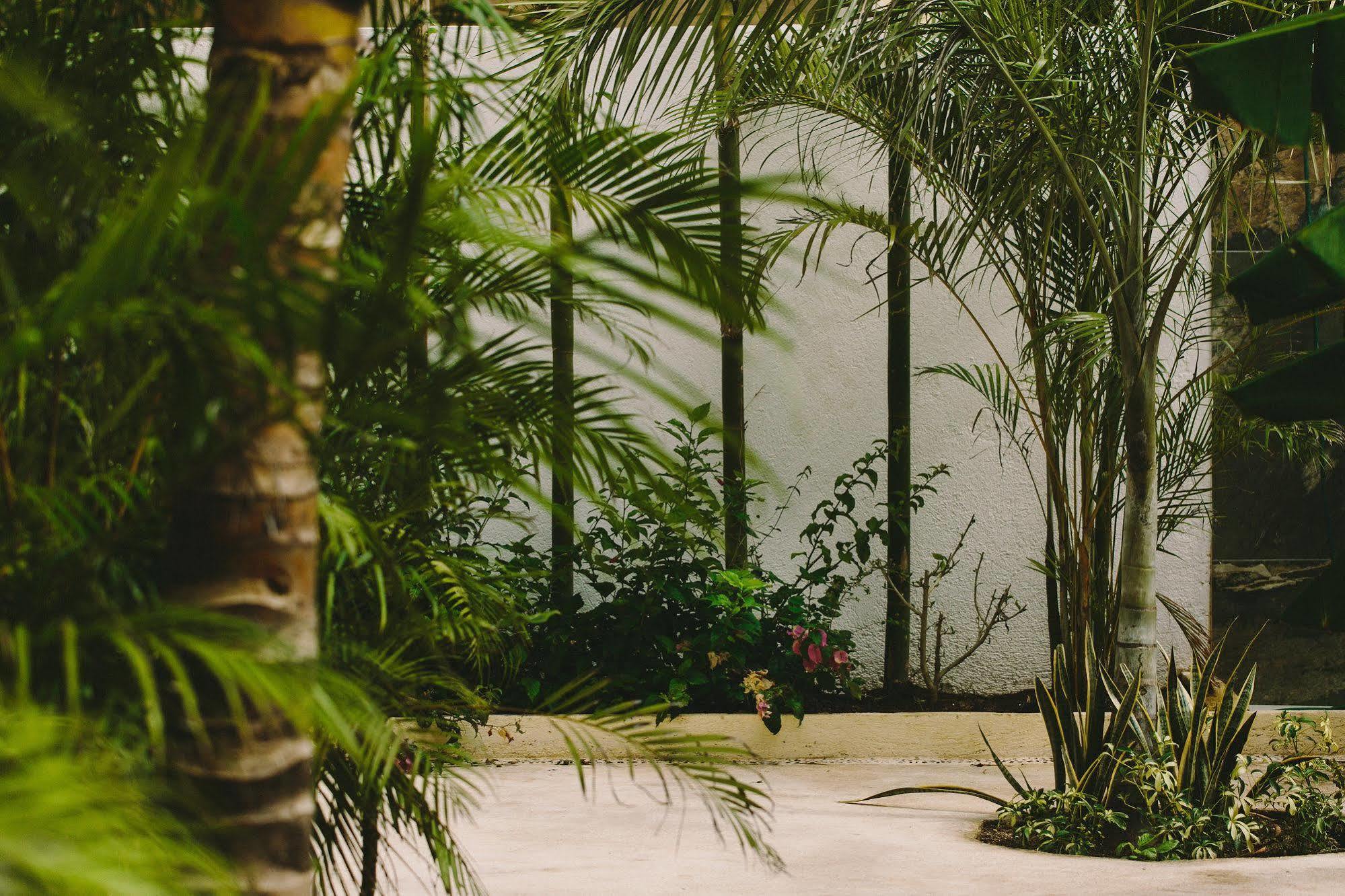 Boho Eco-chic Boutique 3* Xetna