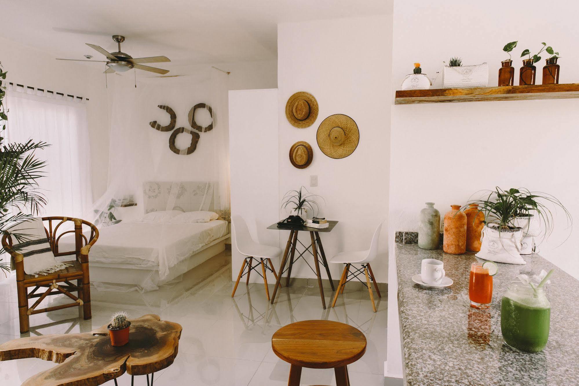 Boho Eco-chic Boutique Hotel