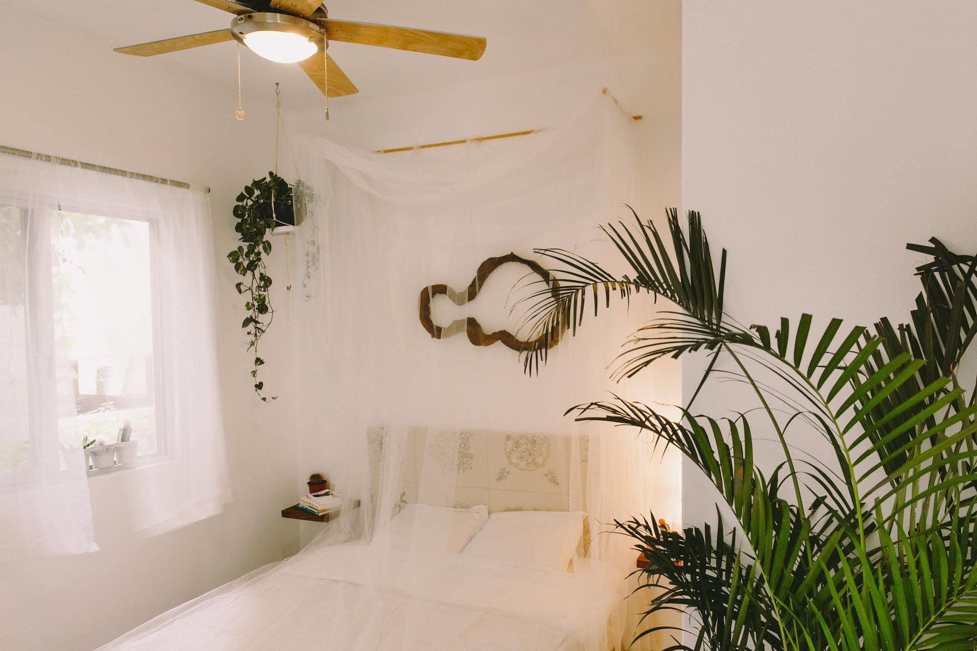 Hotel Boho Eco-chic Boutique 3*