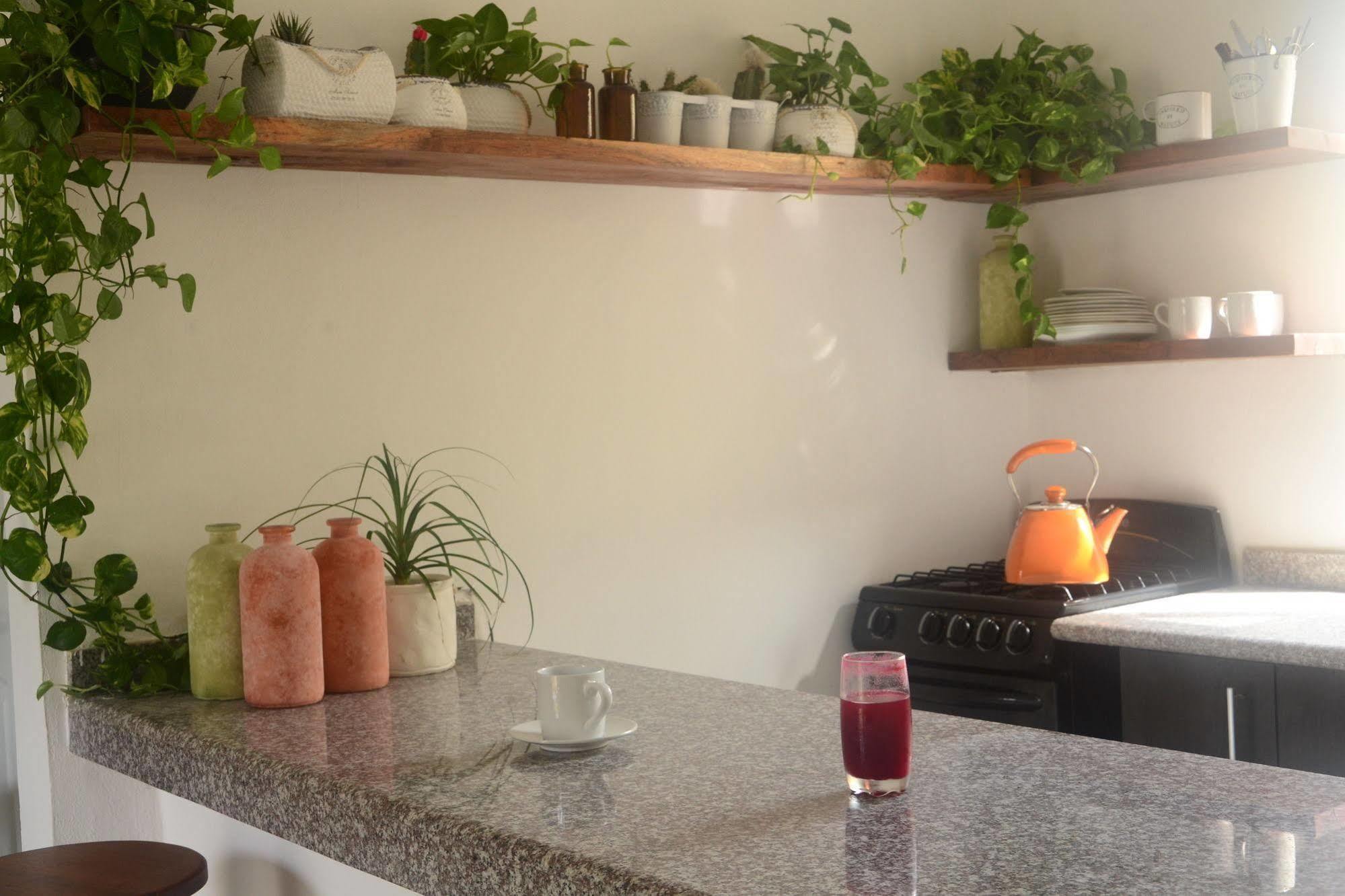Boho Eco-chic Boutique Hotel 3*