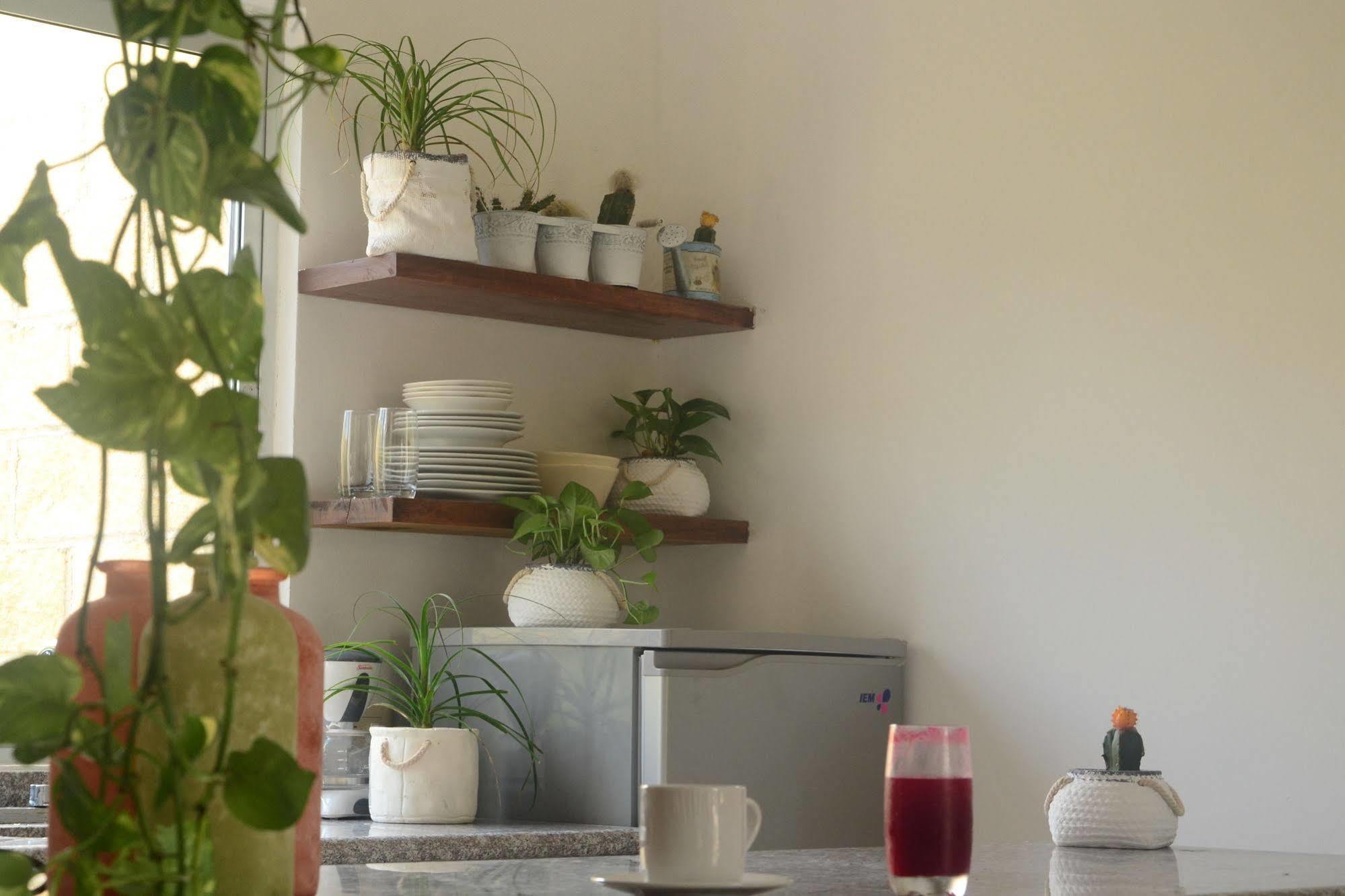 Boho Eco-chic Boutique Hotel 3*