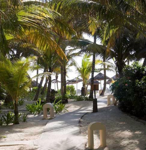 Palapas By Mahekal Playa del Carmen
