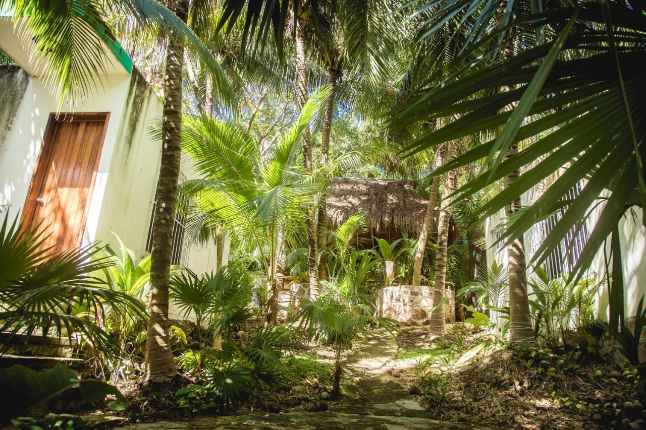 The Jungle Beach Playa del Carmen