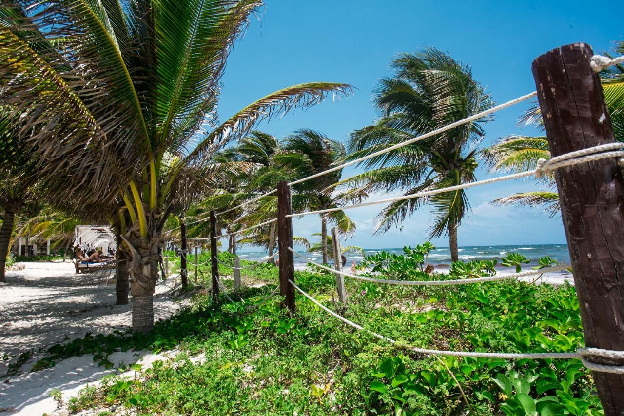 Cabana Los Lirios Hotel Tulum