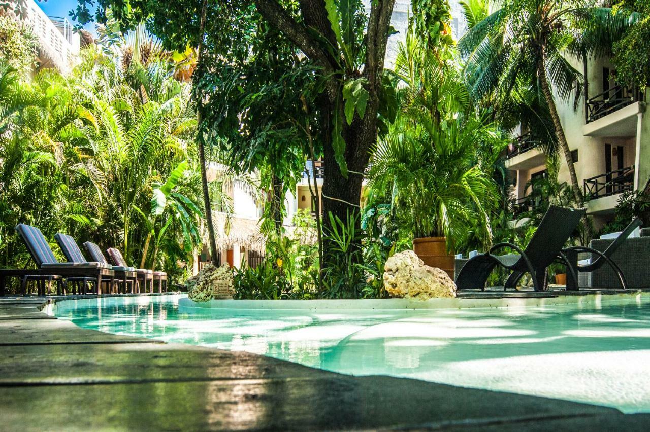 Hotel La Tortuga Y - Solo Adultos Playa del Carmen