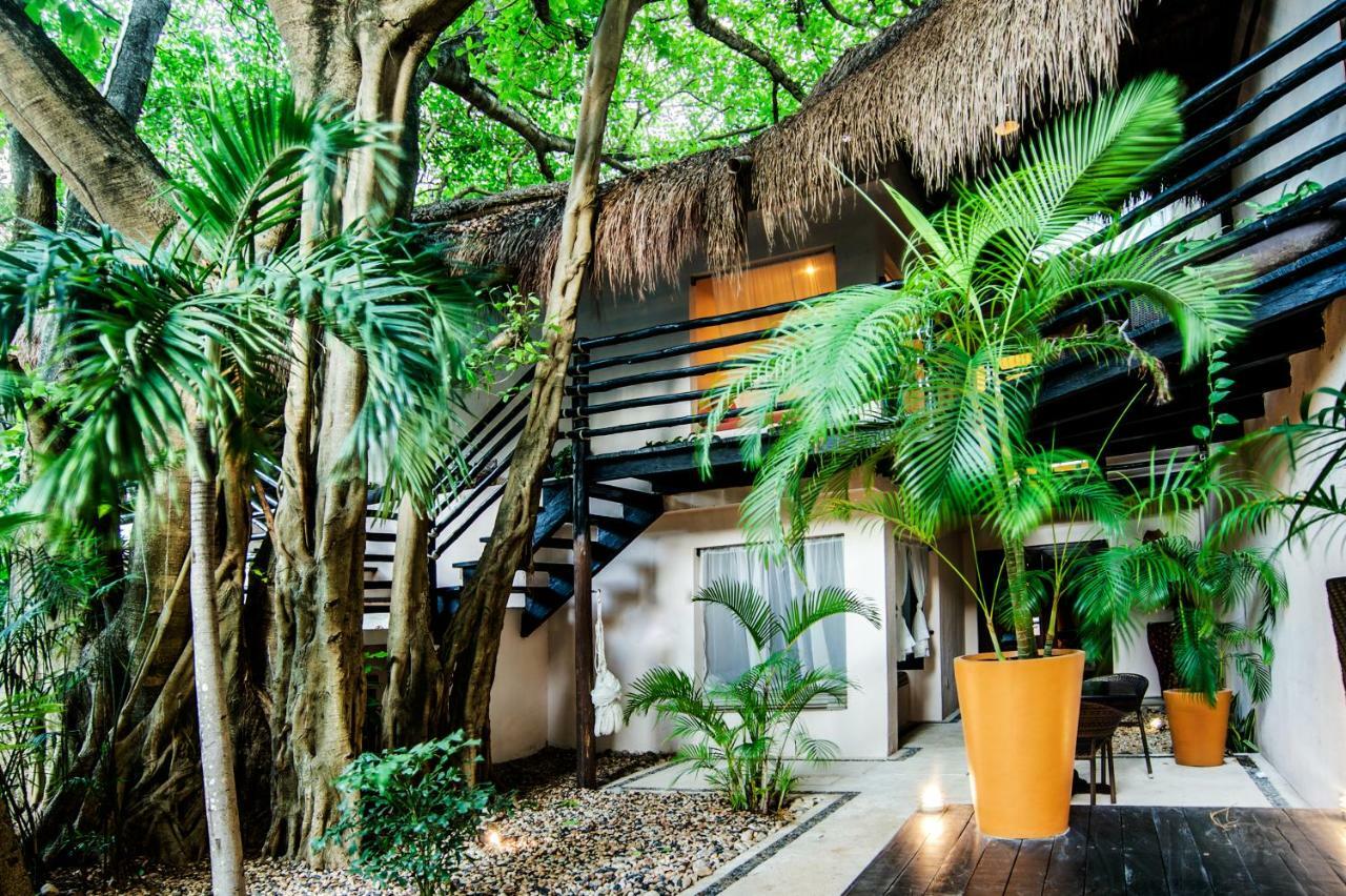 Hotel La Tortuga Y - Solo Adultos Playa del Carmen