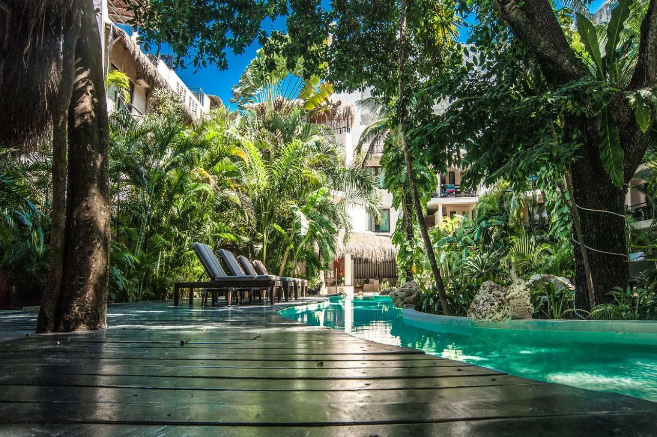 Hotel La Tortuga Y - Solo Adultos Playa del Carmen