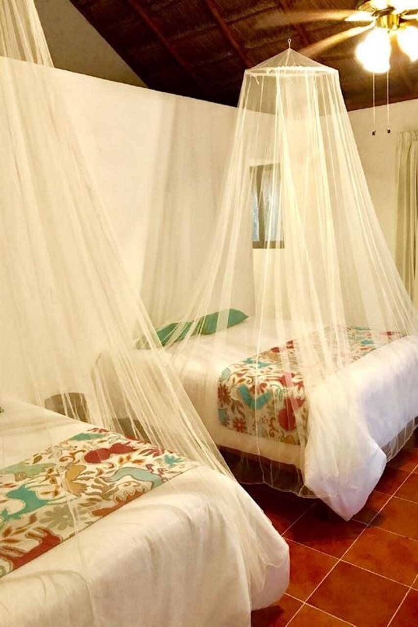 Hotel Ecovergel Riviera Maya Boutique Chemuyil