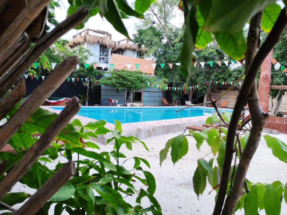The - Food, Drinks And Transportation To The And Cenotes Hostel *