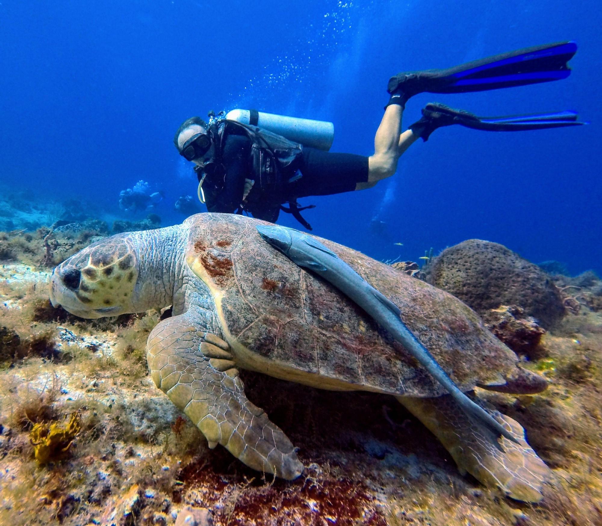 Casa Del Mar & Dive 4* Cozumel