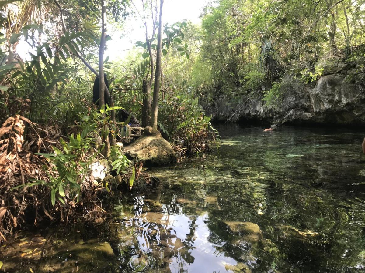 Acomodação com café da manhã  Verdeamar Eco Jungle Retreat 3*