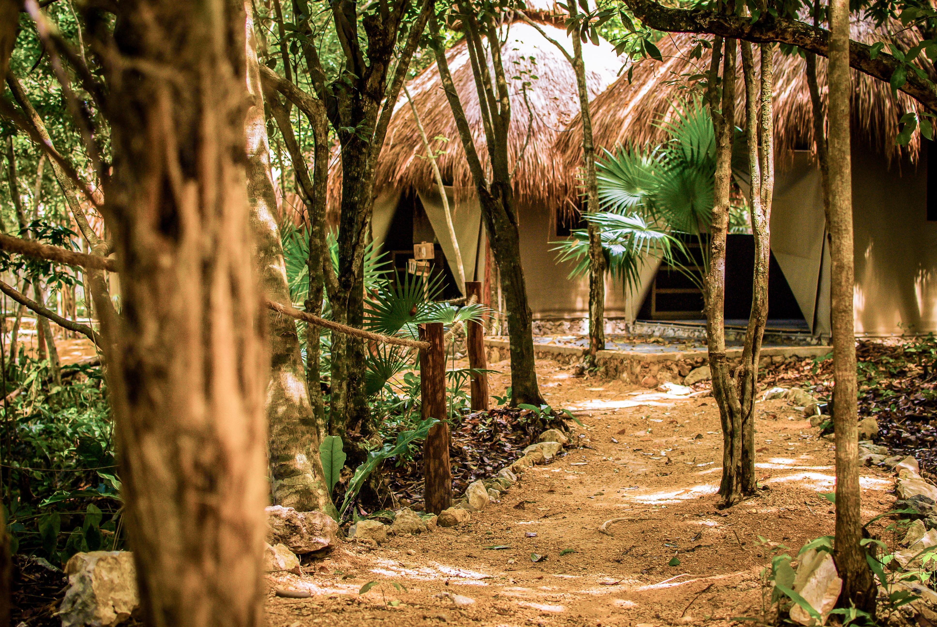 Natura Glamping 3*