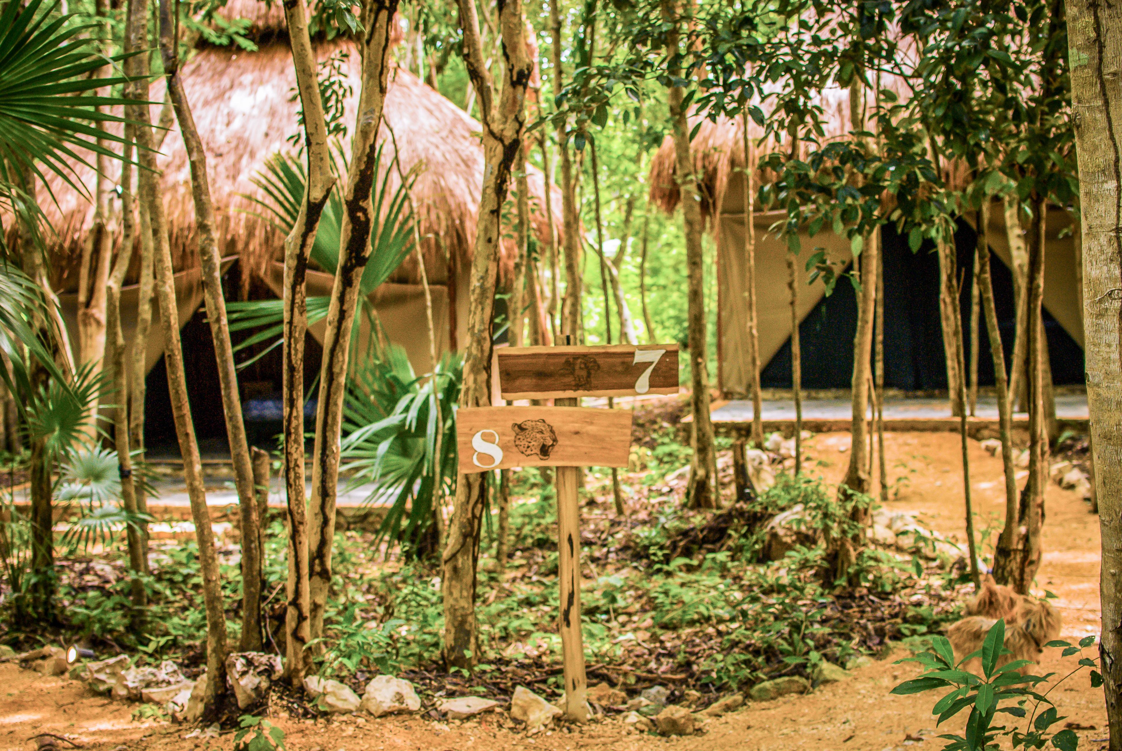 Natura Glamping Hotel