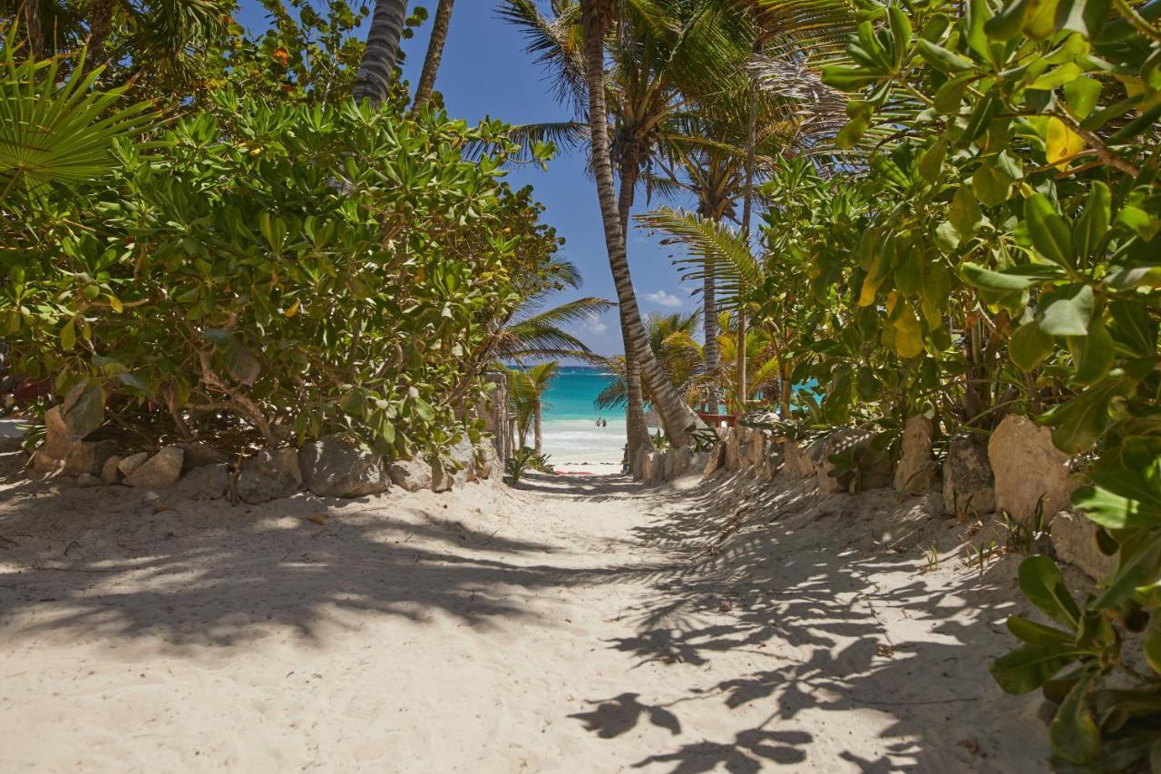 Dos Ceibas - Massage & Yoga Inclusive Hotel 4*