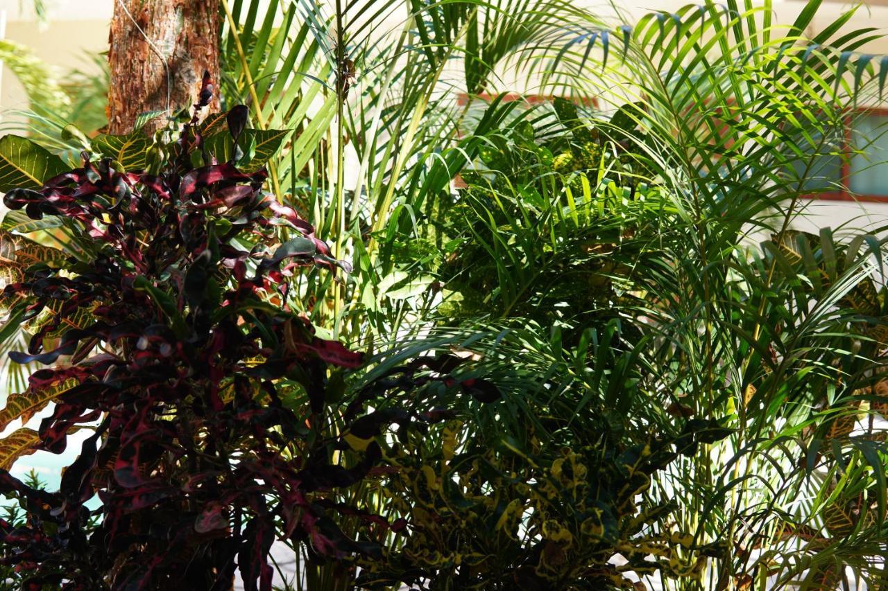 Hotel Aldea San Lam - Oasis Of 4*
