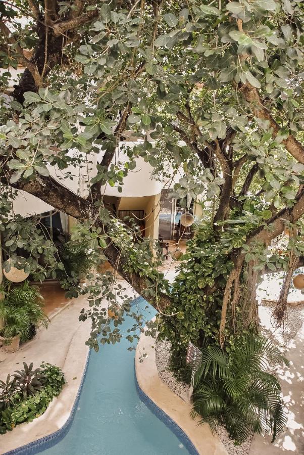 Boutique 06 (adults Only) 3* Tulum