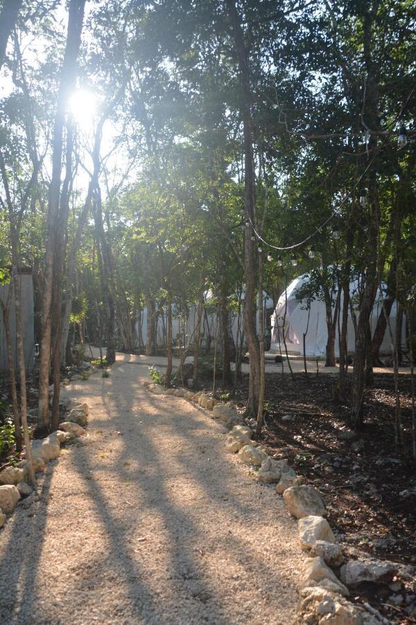 Luxury tent Glamping Mayan Glam