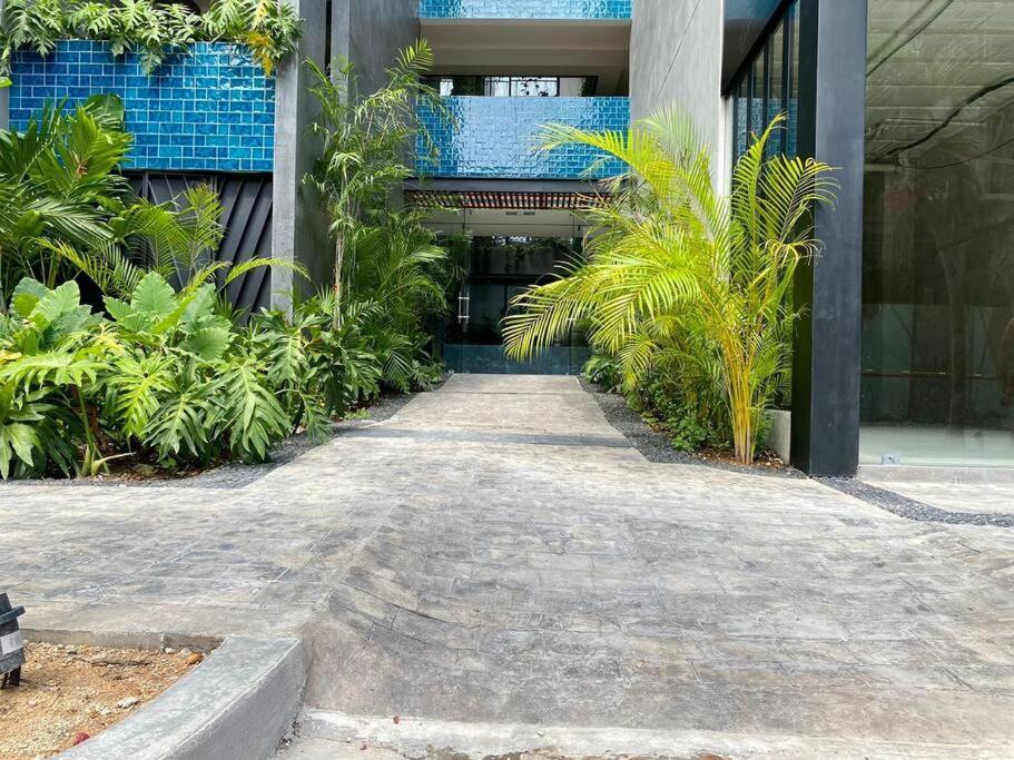 Apartment New! Luxury Floor Condo-steps To 5th-fast Wifi Playa del Carmen