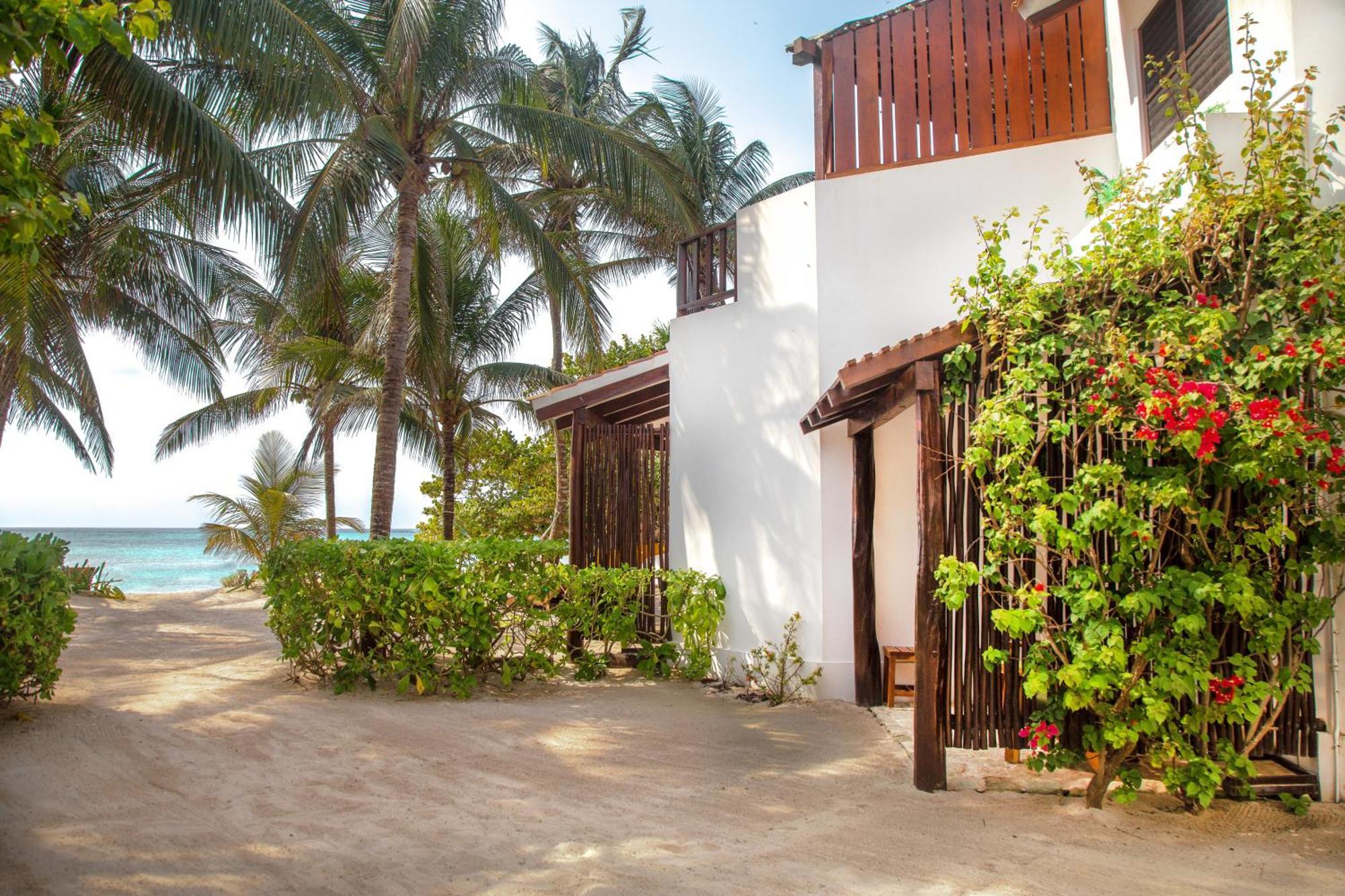 Bed & Breakfast Casa Colibri Tankah 2*