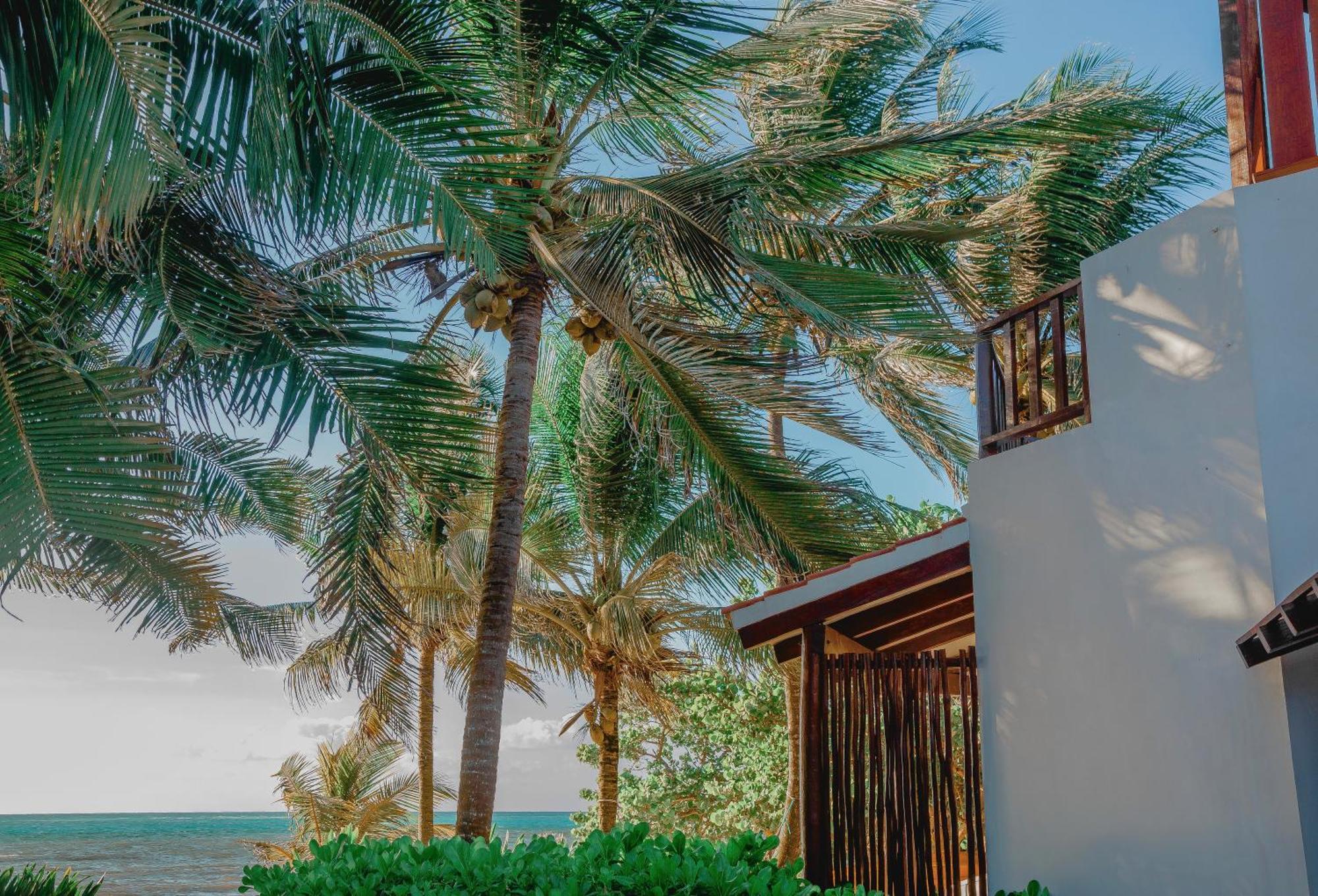 Casa Colibri Tankah 2* Tulum