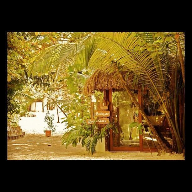 Casa Violeta