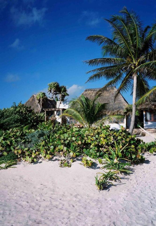 Hotel Casa Violeta